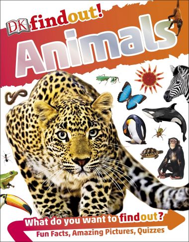 FINDOUT!: ANIMALS
