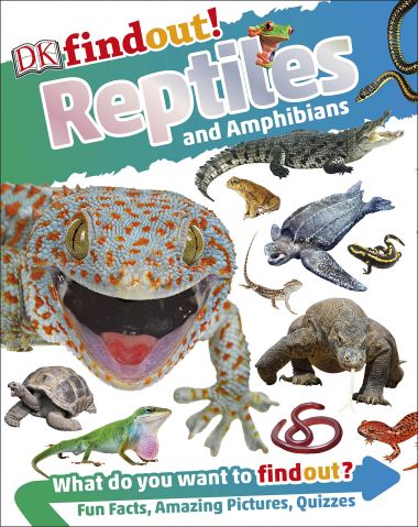 FINDOUT!: REPTILES AND AMPHIBIANS