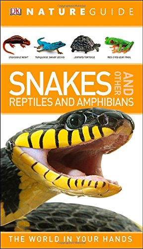 NATURE GUIDE SNAKES AND OTHER REPTILES AND AMPHIBIANS