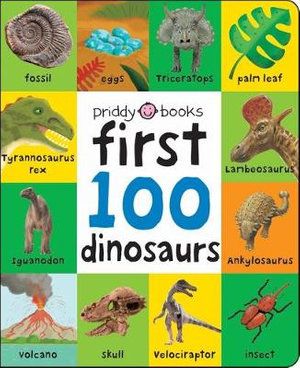 FIRST 100 SOFT TO TOUCH: FIRST 100 DINOSAURS
