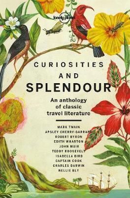 LONELY PLANET: CURIOSITIES & SPLENDOUR (1ST ED.)