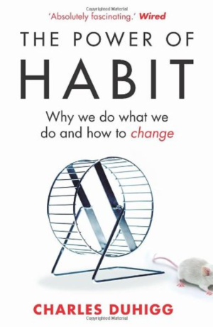 POWER OF HABIT, THE: WHY WE DO WHAT WE DO, AND HOW TO CHANGE